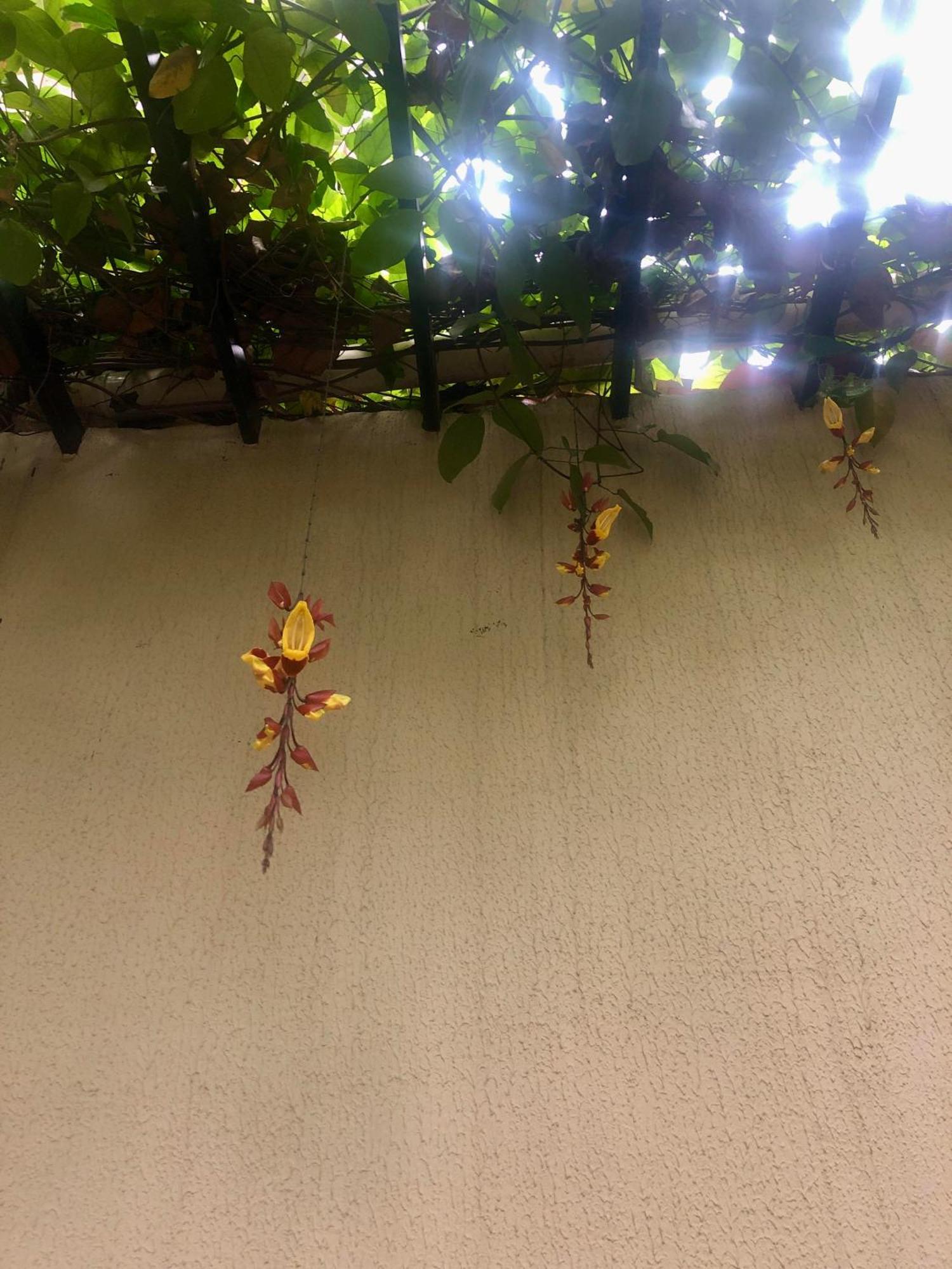 Prime Inn - Coracao Eucaristico Premium ベロ・オリゾンテ エクステリア 写真